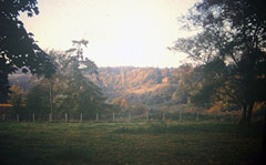 Old postcard of Countryside, Henley.