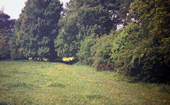 Old postcard of Countryside, Henley.