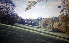 Old postcard of Countryside, Henley.