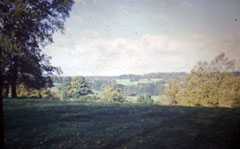 Old postcard of Countryside, Henley.