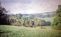 Old postcard of Countryside, Henley.