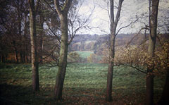 Old postcard of Countryside, Henley.