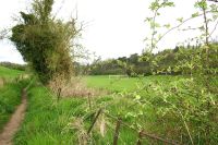 The Henley College Playing Fields