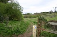 Looking towards Hernes, Happy Valley or 44 Acres.