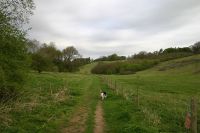 Towards Hernes Farm