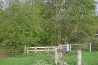 Paddock at Hernes Farm. Keep dogs on lead here.