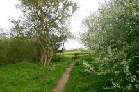 Over the stile.