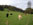 Countryside: 29/04/2006 at 07:36 Thumbnail