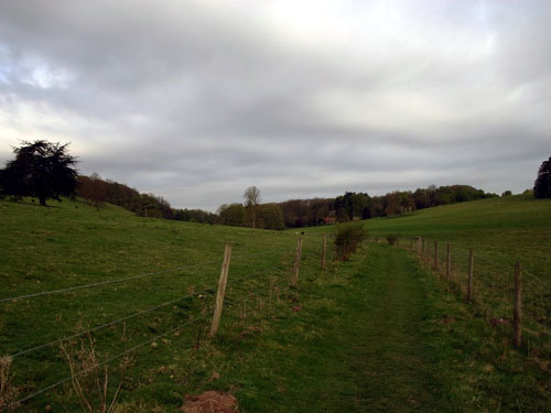 Countryside 29/04/2006 at 07:34