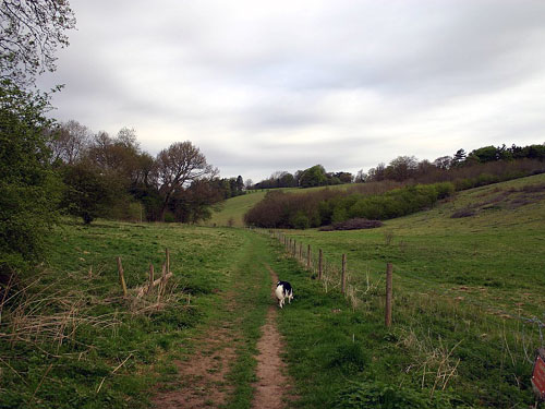 Countryside 29/04/2006 at 07:31