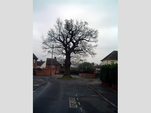 Gainsborough Crescent 22/02/2006 at 06:19