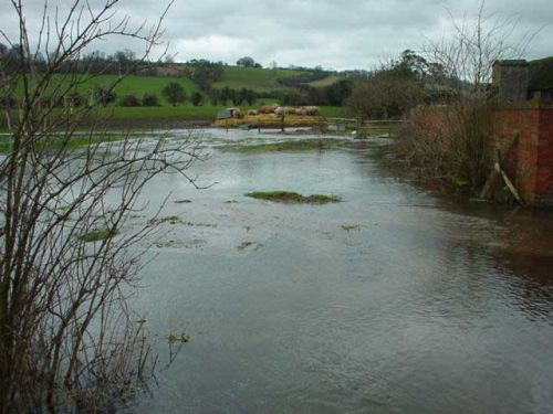 Hambleden 11/02/2001 at 16:25