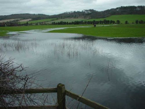 Hambleden 11/02/2001 at 16:26