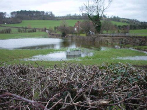 Hambleden 11/02/2001 at 16:31