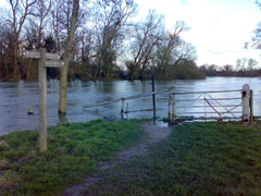 Hambleden: 01/03/2007 at 09:00