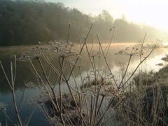 River Thames: 12/01/2003 at 09:21