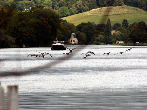 River Thames 09/09/2011 at 13:04