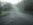 Valley Road: 03/12/2000 at 09:50 Thumbnail